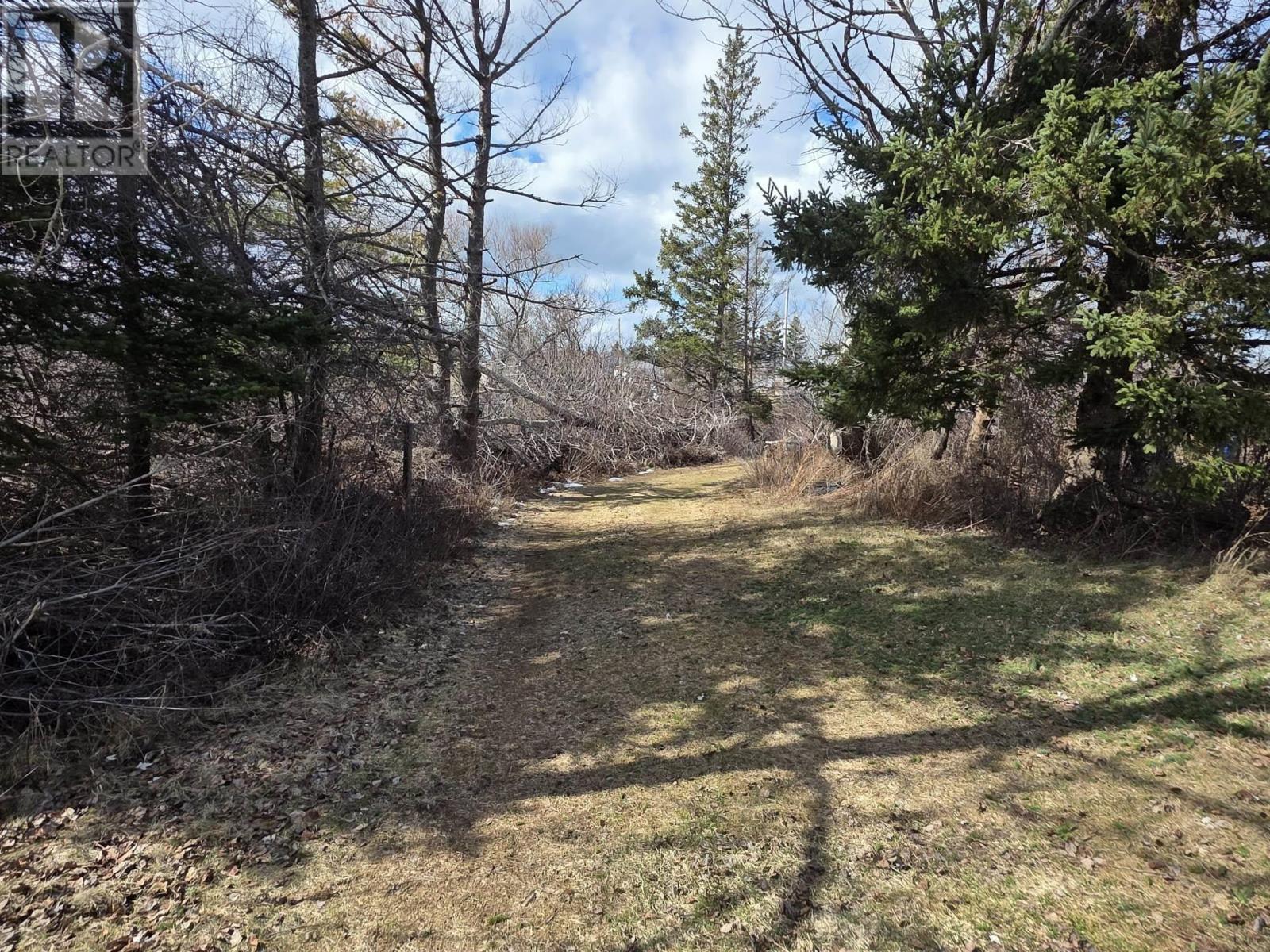 55 Joyce Mackinnon Lane, Seafoam, Nova Scotia  B0K 1N0 - Photo 20 - 202605670