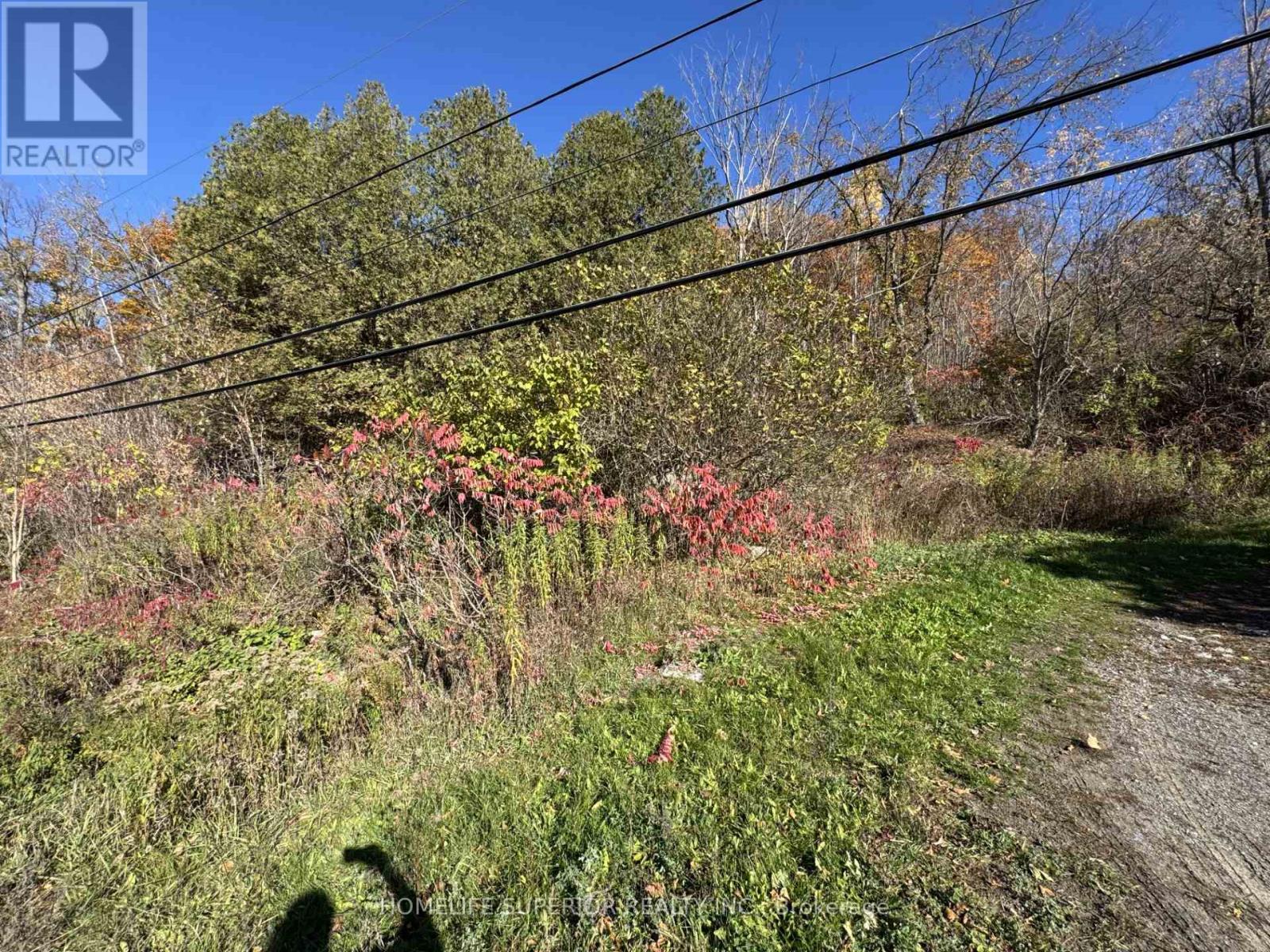 58 Main Street, Marmora And Lake, Ontario  K0K 2M0 - Photo 2 - X12929170