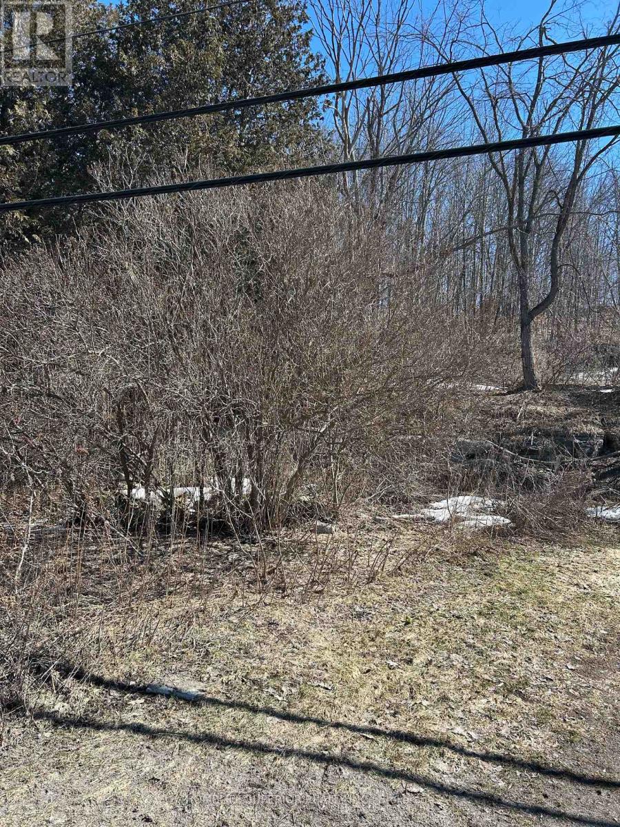 58 Main Street, Marmora And Lake, Ontario  K0K 2M0 - Photo 3 - X12929170