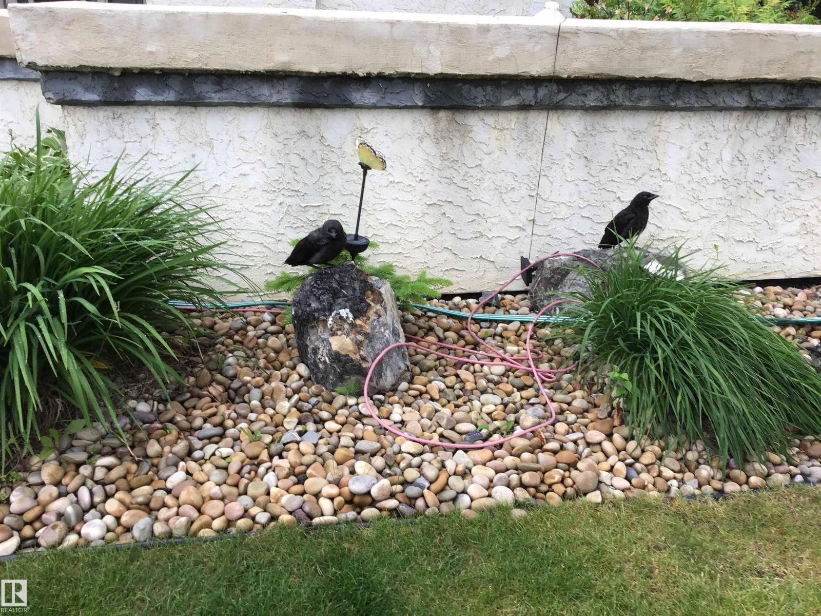 #53 9718 176 St Nw, Edmonton, Alberta  T5T 6B8 - Photo 60 - E4479241