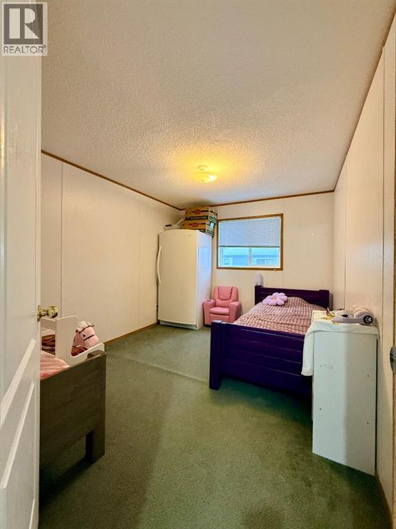 10406 Homestead Way, La Crete, Alberta  T0H 2H0 - Photo 16 - A2293997