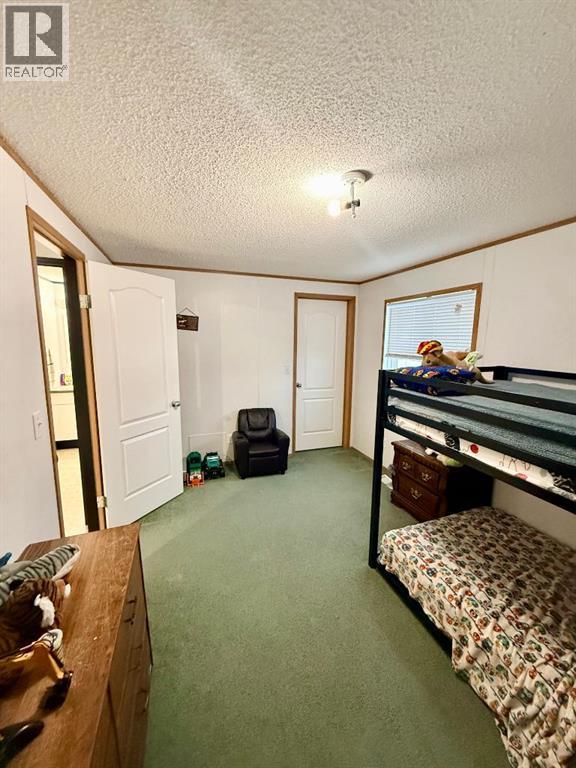 10406 Homestead Way, La Crete, Alberta  T0H 2H0 - Photo 20 - A2293997