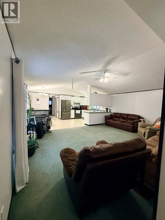 10406 Homestead Way, La Crete, Alberta  T0H 2H0 - Photo 14 - A2293997