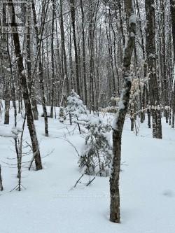 0 PROVIDENCE DRIVE, Algonquin Highlands, Ontario