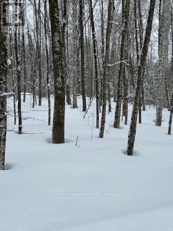 0 Providence Drive, Algonquin Highlands, Ontario K0M 1S0 - Photo 2 - X12929084