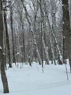 0 Providence Drive, Algonquin Highlands, Ontario K0M 1S0 - Photo 3 - X12929084