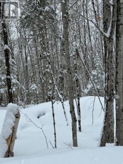 0 Providence Drive, Algonquin Highlands, Ontario K0M 1S0 - Photo 4 - X12929084