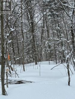 0 Providence Drive, Algonquin Highlands, Ontario K0M 1S0 - Photo 5 - X12929084