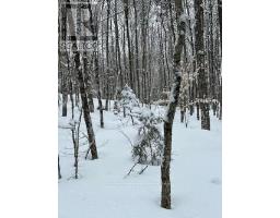 0 PROVIDENCE DRIVE, Algonquin Highlands, Ontario