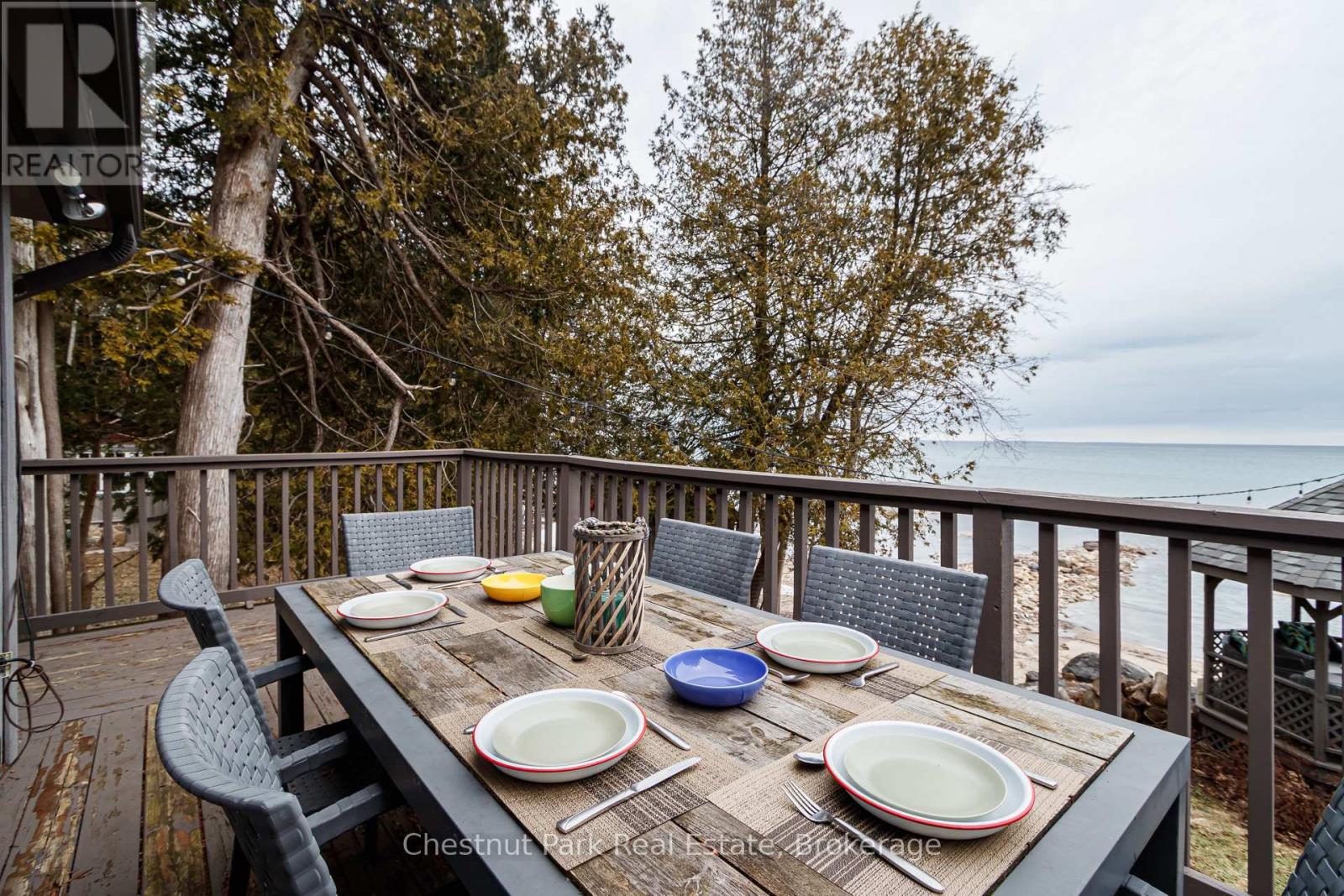 225 Cedar Avenue, Meaford, Ontario  N4L 1W5 - Photo 43 - X12929100