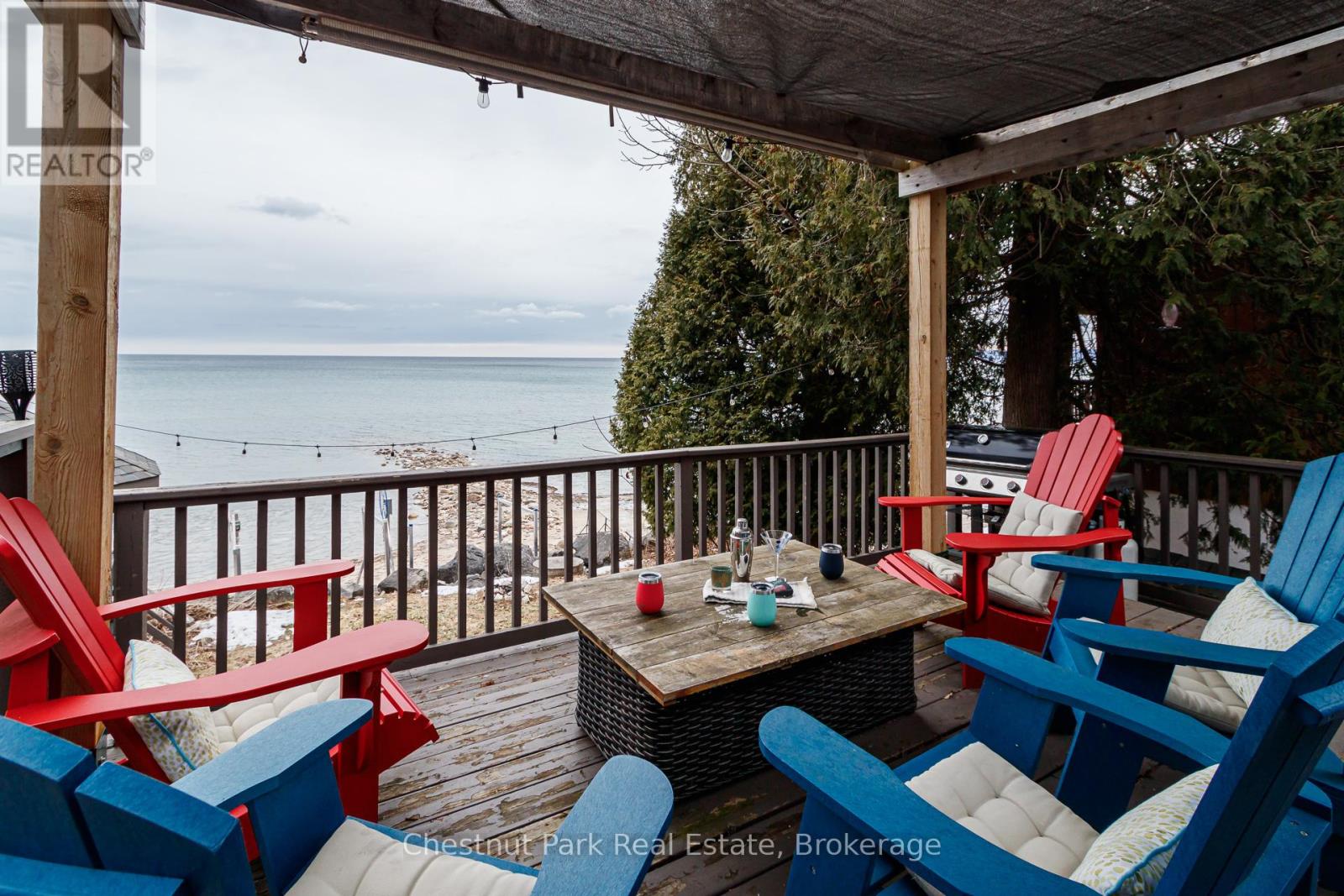 225 Cedar Avenue, Meaford, Ontario  N4L 1W5 - Photo 44 - X12929100