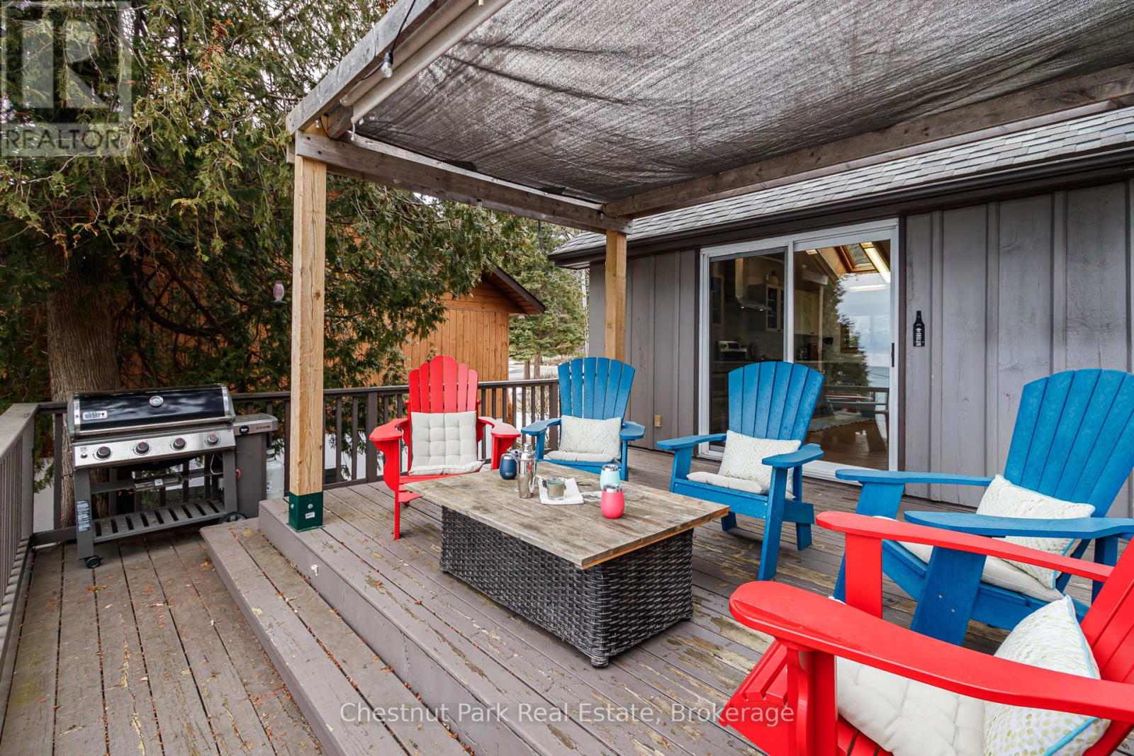 225 Cedar Avenue, Meaford, Ontario  N4L 1W5 - Photo 47 - X12929100