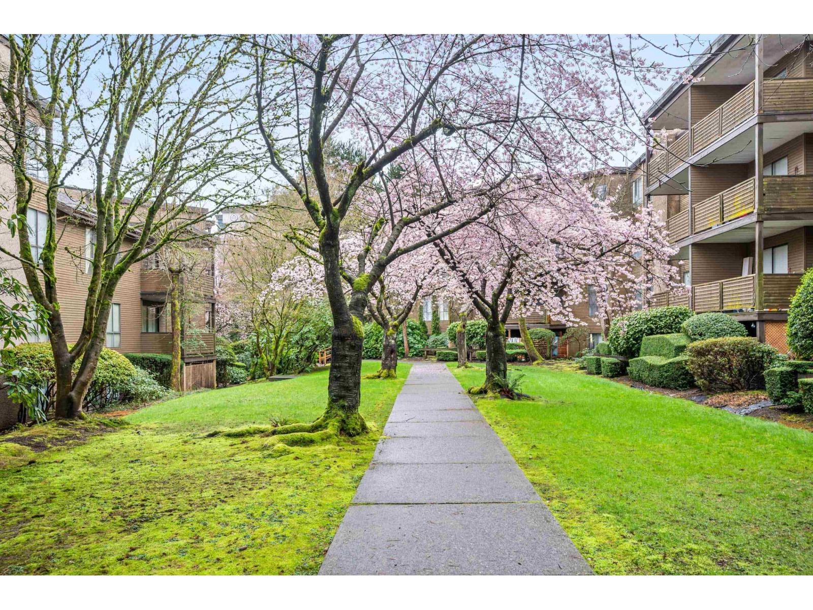 302 10662 151a Street, Surrey, British Columbia  V3R 8T3 - Photo 34 - R3103490