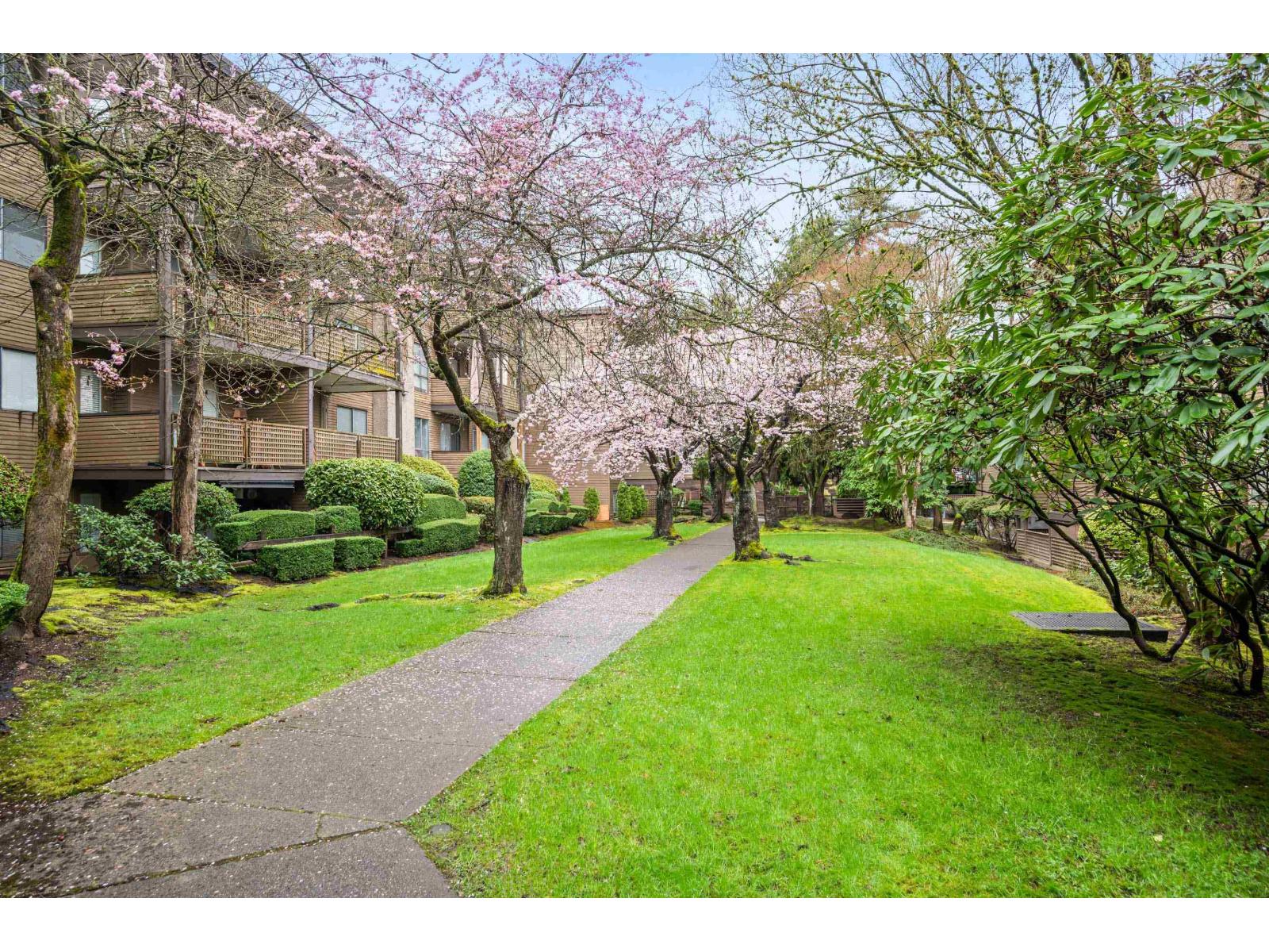 302 10662 151a Street, Surrey, British Columbia  V3R 8T3 - Photo 35 - R3103490