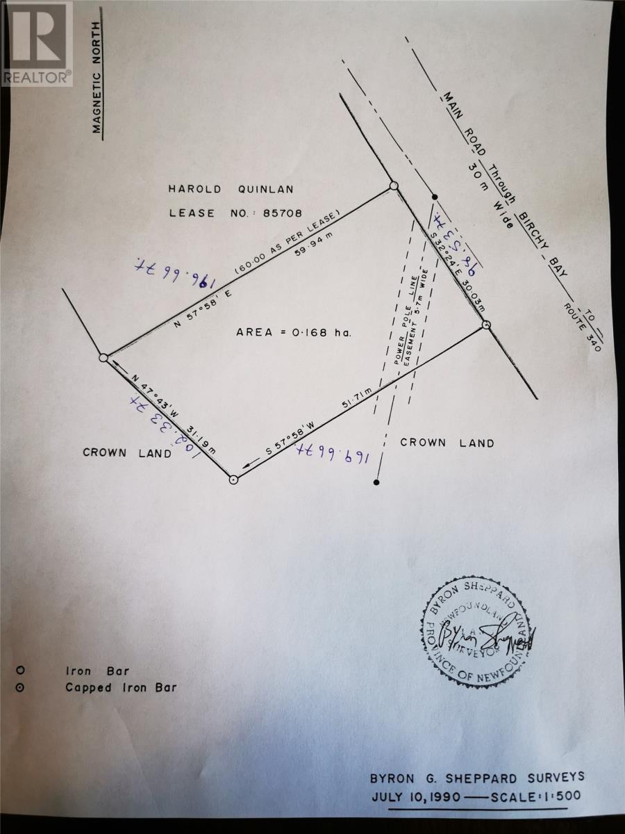 474 Main Street, Birchy Bay, Newfoundland & Labrador  A0G 1E0 - Photo 48 - 1295635