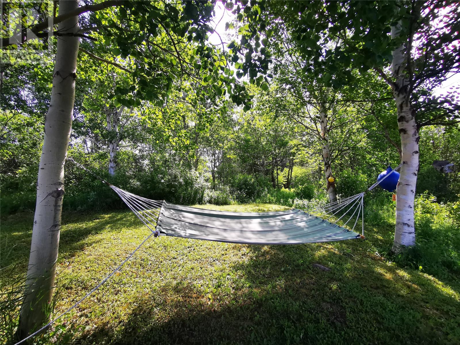 474 Main Street, Birchy Bay, Newfoundland & Labrador  A0G 1E0 - Photo 8 - 1295635