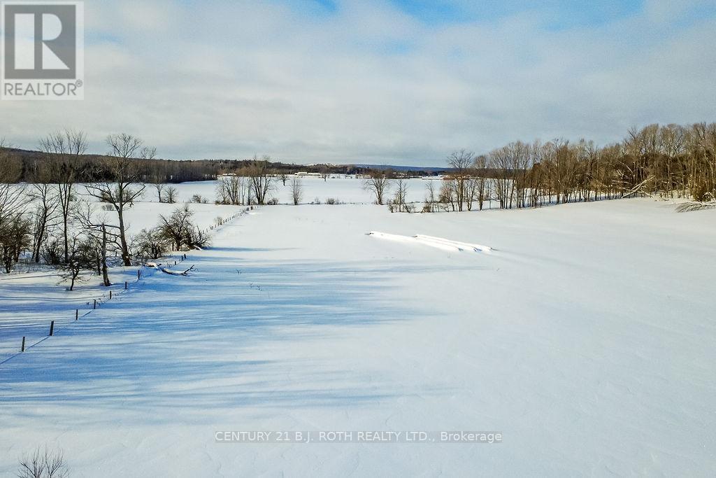 2448 Town Line, Oro-Medonte, Ontario  L0K 1E0 - Photo 15 - S12929164