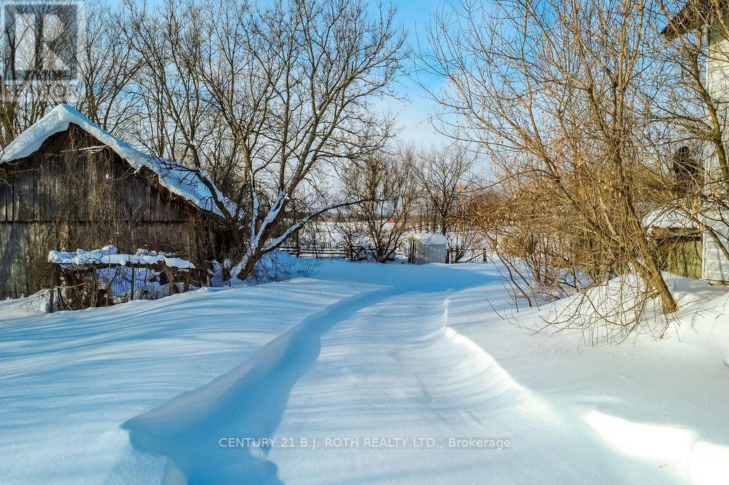 2448 Town Line, Oro-Medonte, Ontario  L0K 1E0 - Photo 4 - S12929164