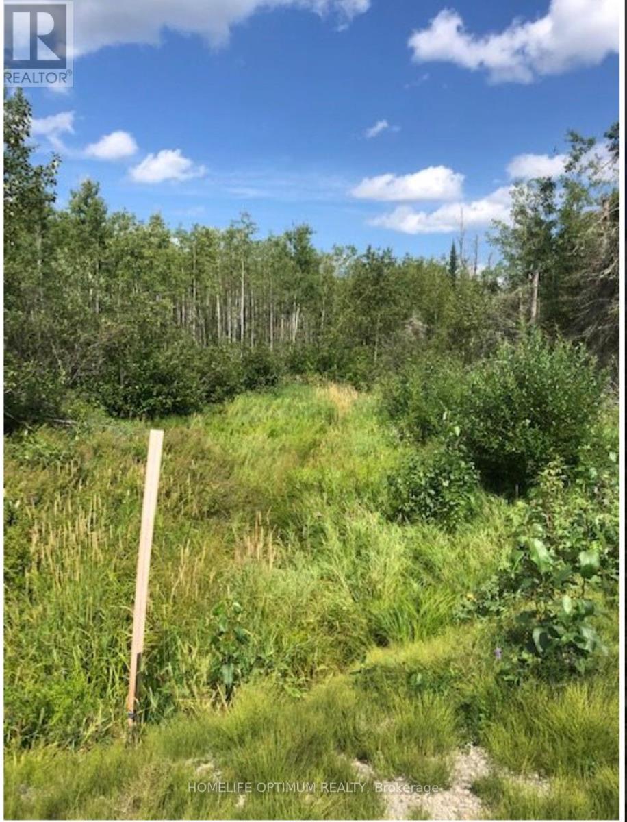 Lot9 Con7 Part 1 Crow Creek Road, Kapuskasing, Ontario  P0L 1N0 - Photo 8 - T12929138