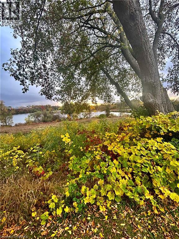 40 Ivy Crescent, Paris, Ontario  N3L 4A9 - Photo 2 - 40814394