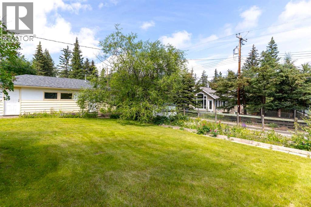 125 Rainbow Avenue, Banff, Alberta  T1L 1A1 - Photo 18 - A2249719