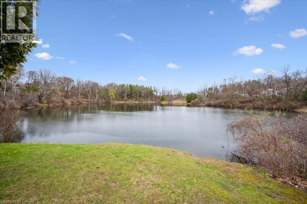 23 Mount Royal Place, Cambridge, Ontario  N1S 5B1 - Photo 41 - 40808782