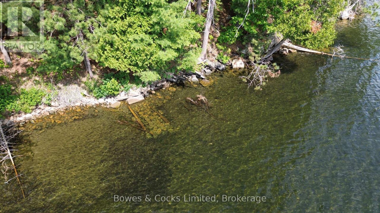 10 Fire Route 46, North Kawartha, Ontario  K0L 2H0 - Photo 6 - X12929246