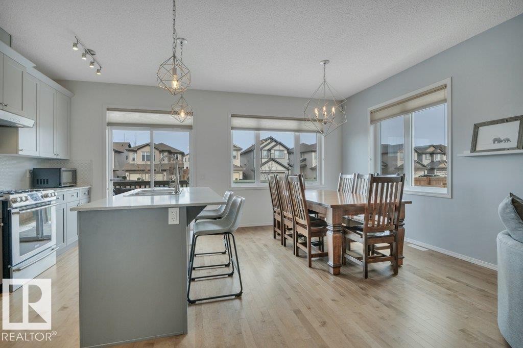 20936 95 Av Nw, Edmonton, Alberta  T5T 7J6 - Photo 17 - E4479292