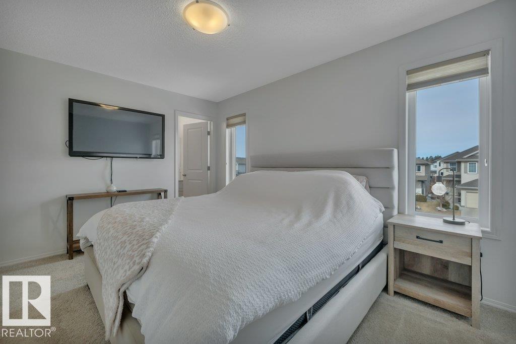 20936 95 Av Nw, Edmonton, Alberta  T5T 7J6 - Photo 25 - E4479292