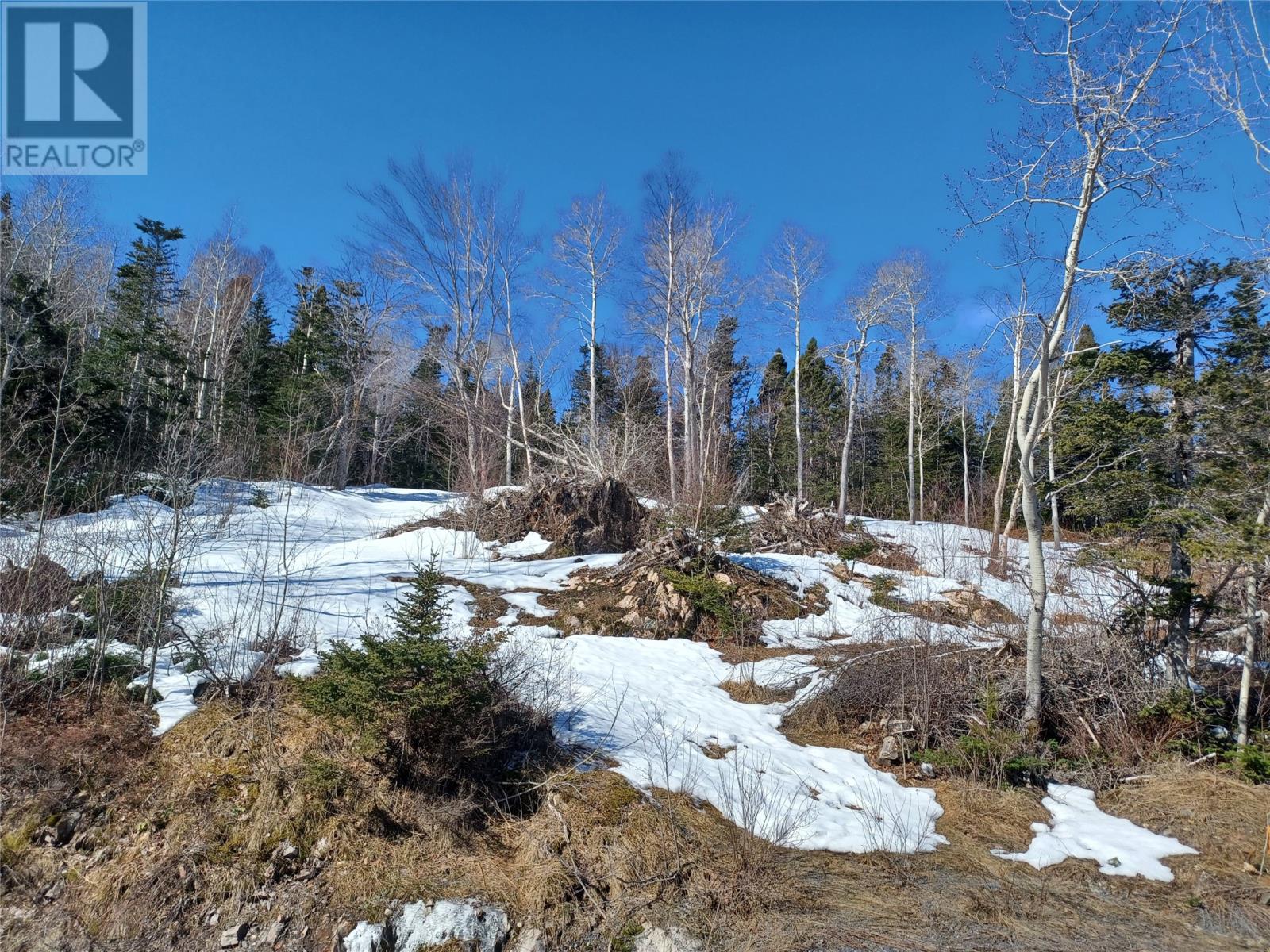 164-166 Mccormack Drive, Clarenville, Newfoundland & Labrador  A5A 2R3 - Photo 2 - 1295617