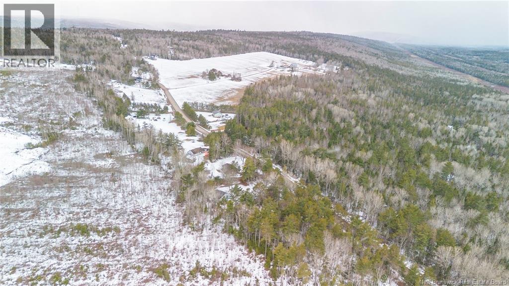 40 Davidson Road, Anagance, New Brunswick  E4Z 1E1 - Photo 48 - NB135938