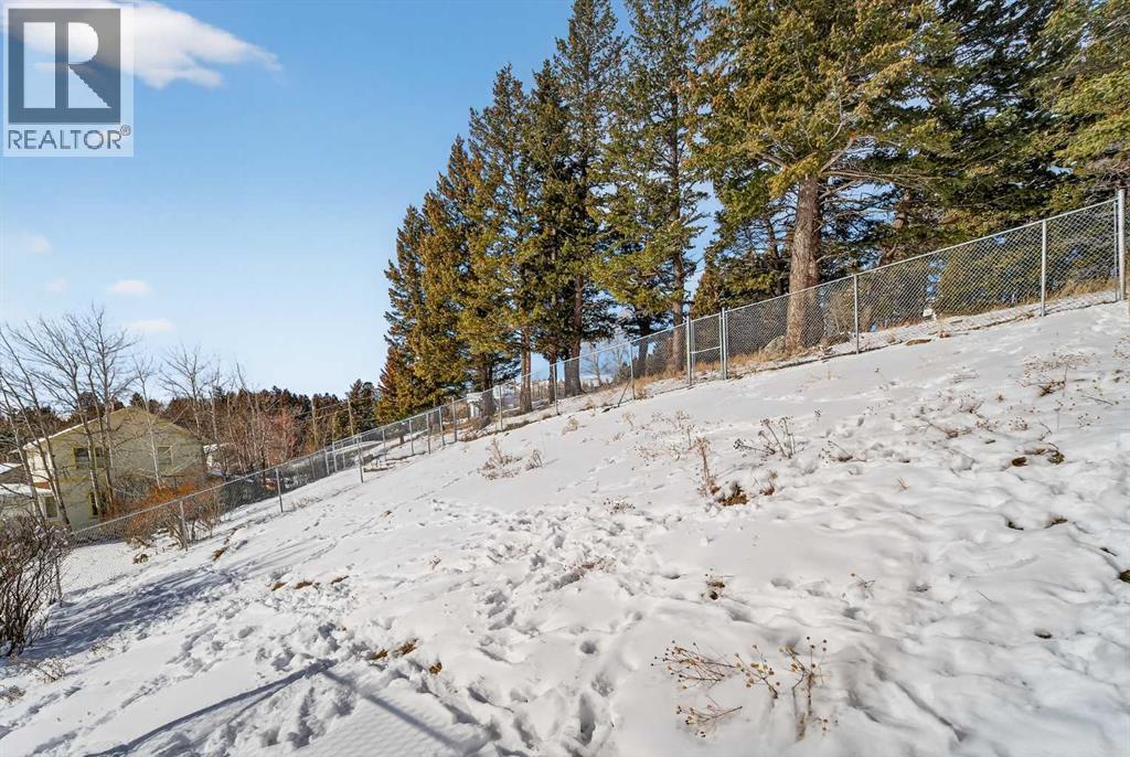 7705 24 Avenue, Coleman, Alberta  T0K 0M0 - Photo 34 - A2288535