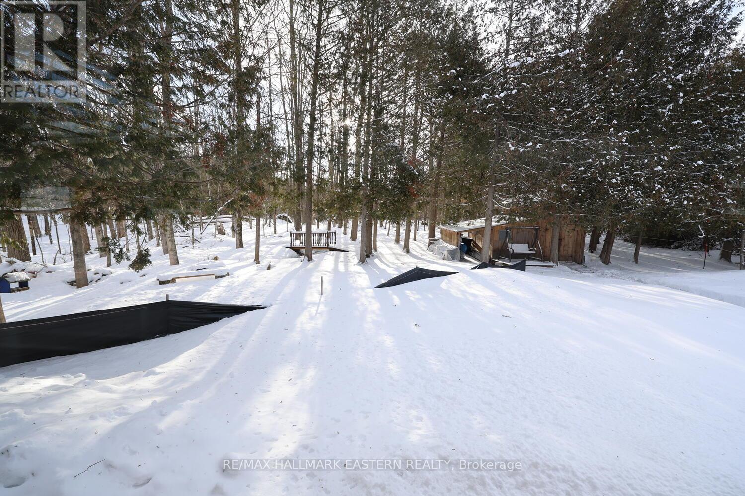 2160 County Road 46, Havelock-Belmont-Methuen, Ontario  K0L 1Z0 - Photo 35 - X12898934