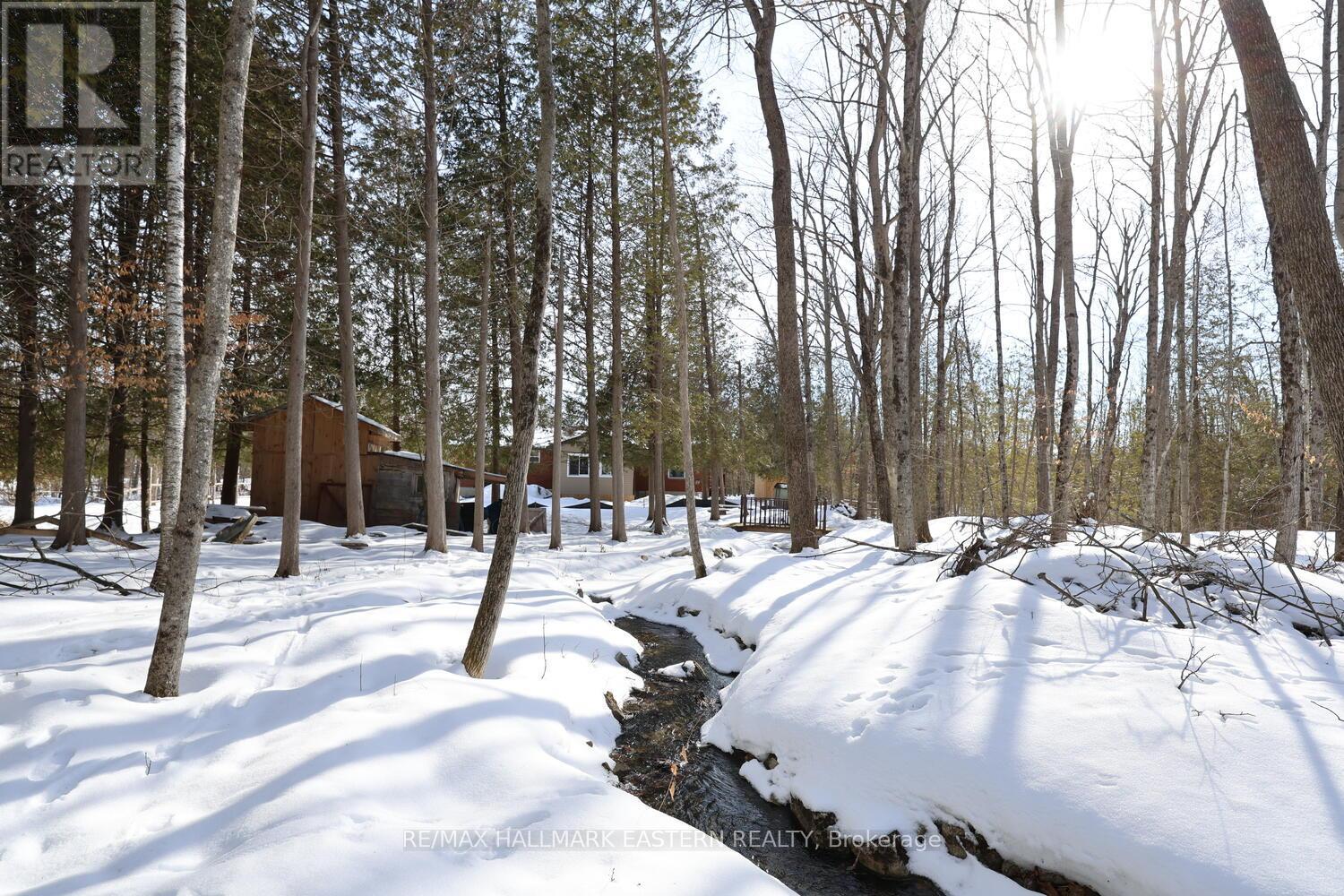 2160 County Road 46, Havelock-Belmont-Methuen, Ontario  K0L 1Z0 - Photo 42 - X12898934