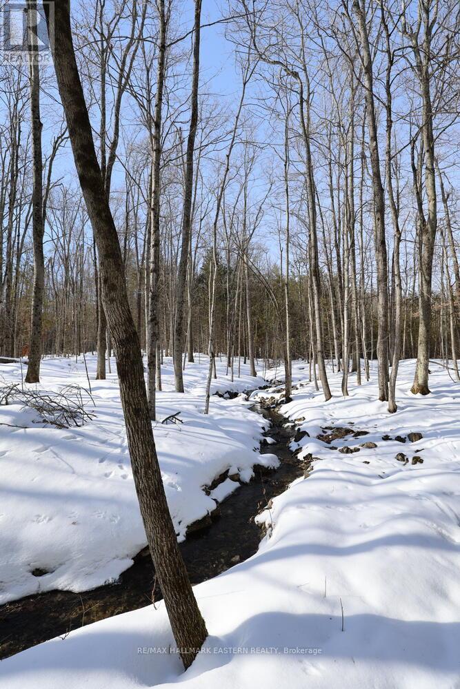 2160 County Road 46, Havelock-Belmont-Methuen, Ontario  K0L 1Z0 - Photo 37 - X12898934