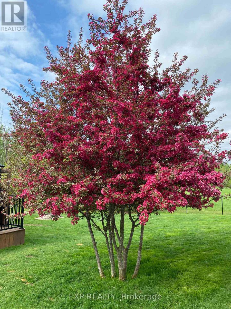 3238 Drouin Road, Clarence-Rockland, Ontario  K0A 2A0 - Photo 48 - X12929468