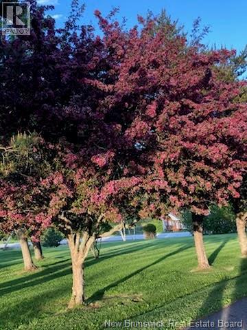 1617 Route 121 Route, Norton, New Brunswick  E5T 1P6 - Photo 41 - NB135258