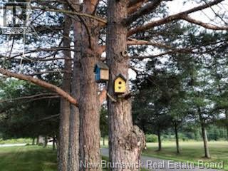 1617 Route 121 Route, Norton, New Brunswick  E5T 1P6 - Photo 44 - NB135258