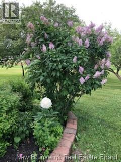 1617 Route 121 Route, Norton, New Brunswick  E5T 1P6 - Photo 42 - NB135258