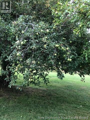 1617 Route 121 Route, Norton, New Brunswick  E5T 1P6 - Photo 43 - NB135258