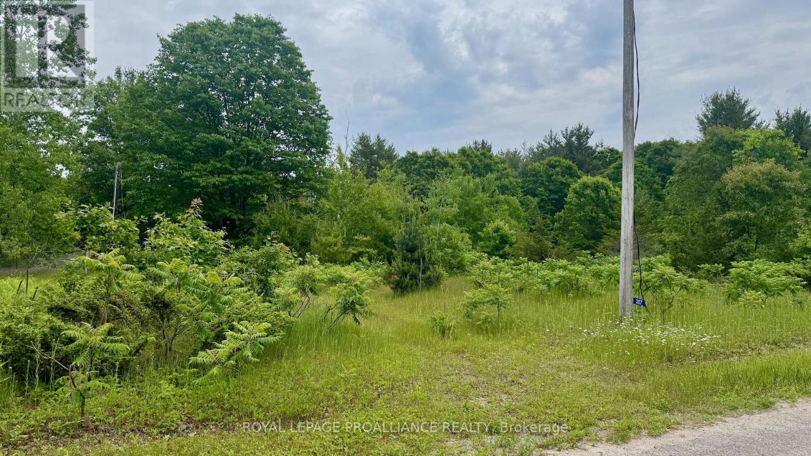 207 Middle Ridge Road, Brighton, Ontario  K0K 1H0 - Photo 5 - X12927682