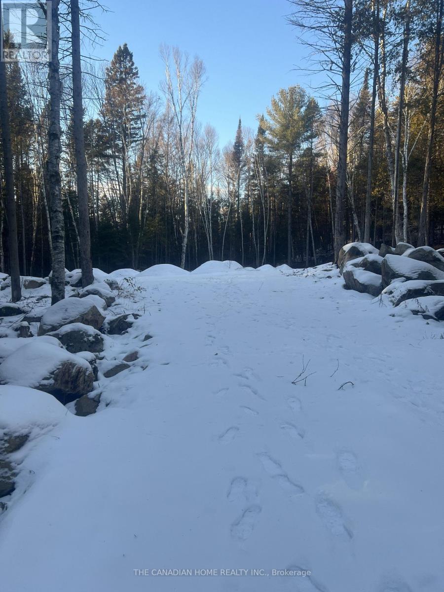 Lot 4 Lawson Road, Kearney, Ontario  P0A 1J0 - Photo 3 - X12929470