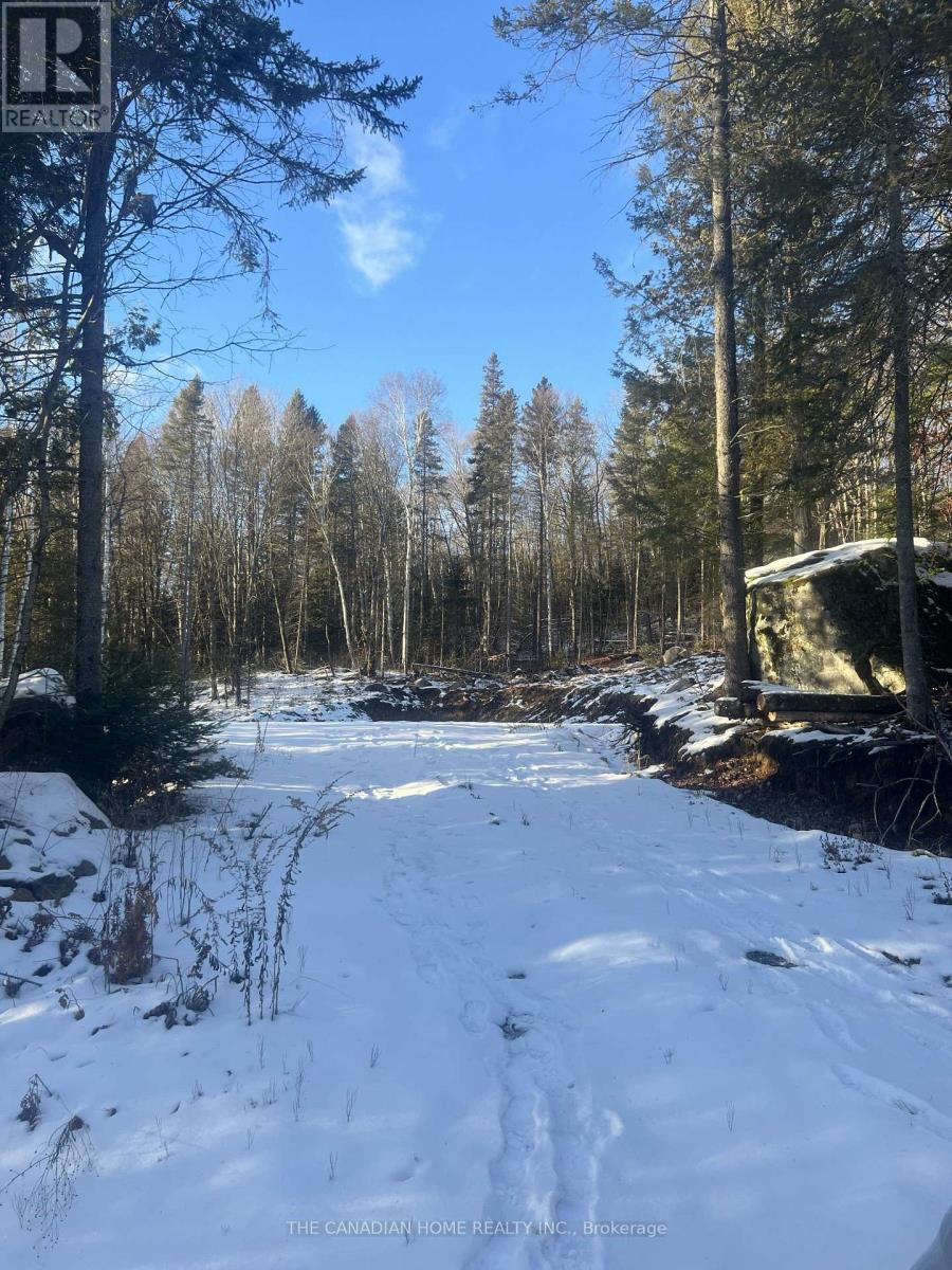 Lot 4 Lawson Road, Kearney, Ontario  P0A 1J0 - Photo 5 - X12929470