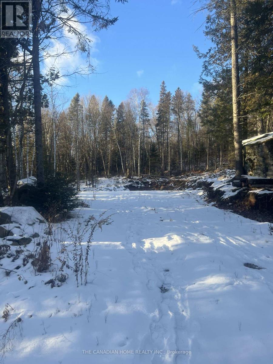 83 Lawson Road, Kearney, Ontario  P0A 1M0 - Photo 4 - X12929472