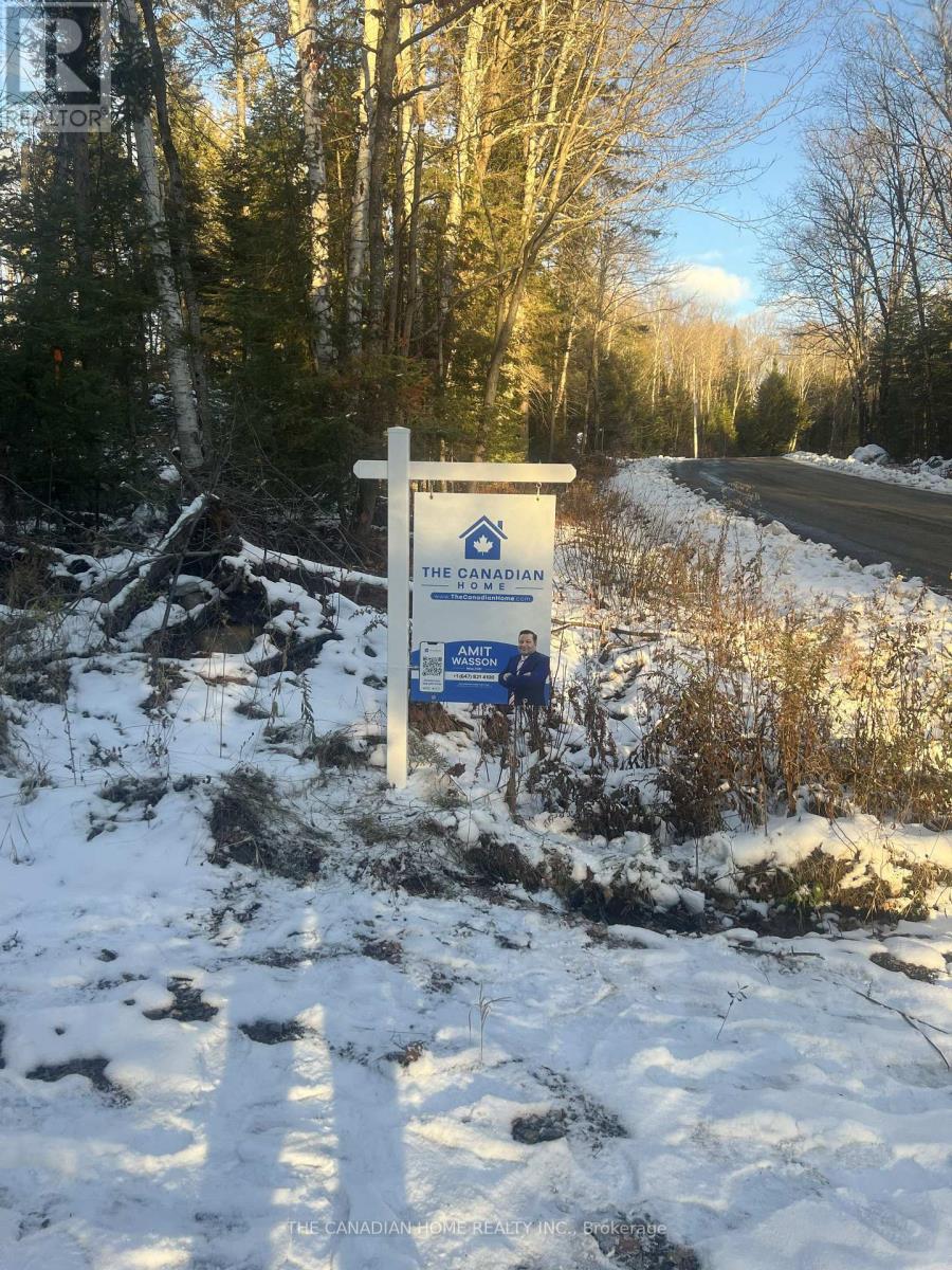 83 Lawson Road, Kearney, Ontario  P0A 1M0 - Photo 5 - X12929472