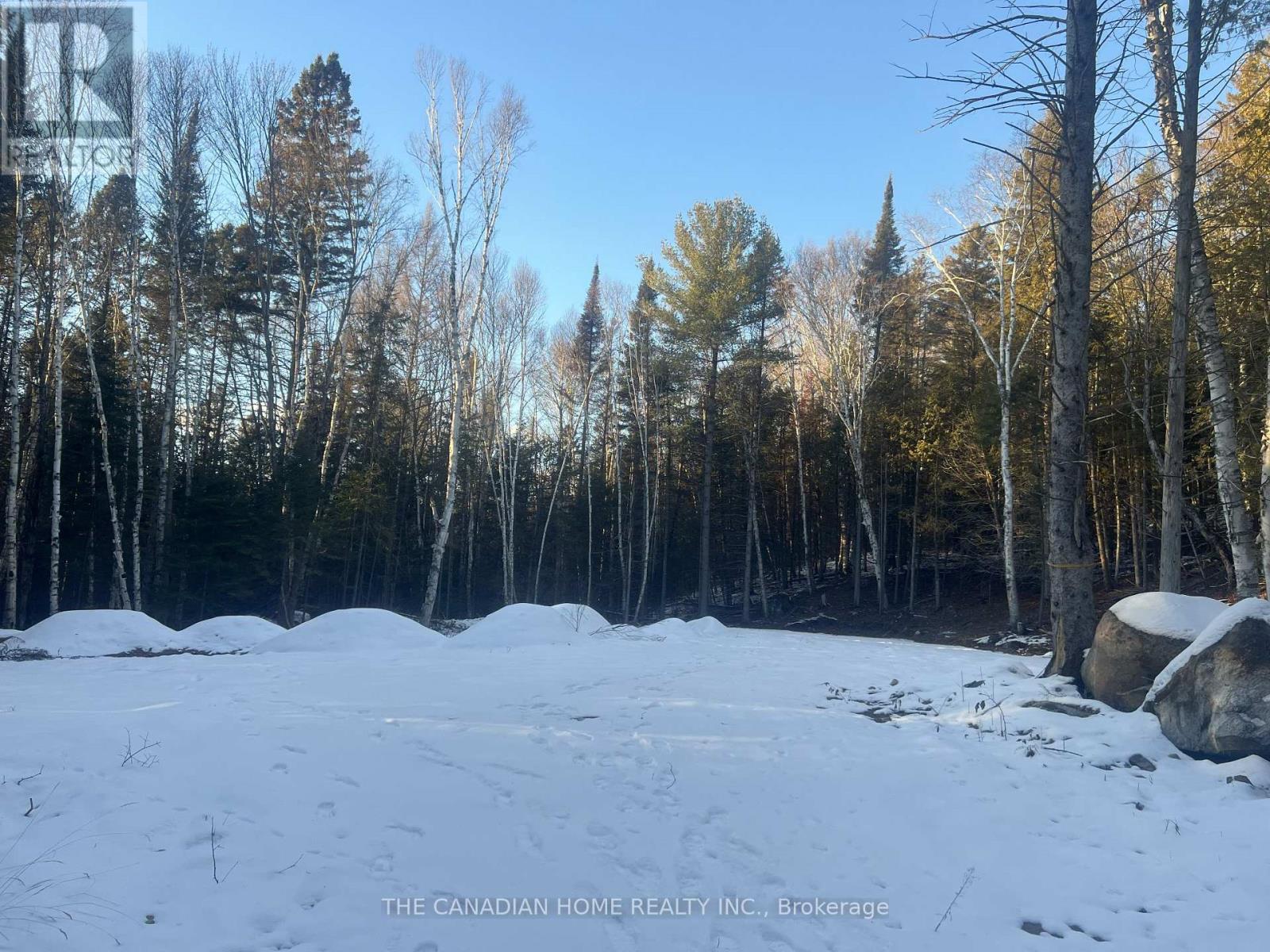 83 Lawson Road, Kearney, Ontario  P0A 1M0 - Photo 6 - X12929472