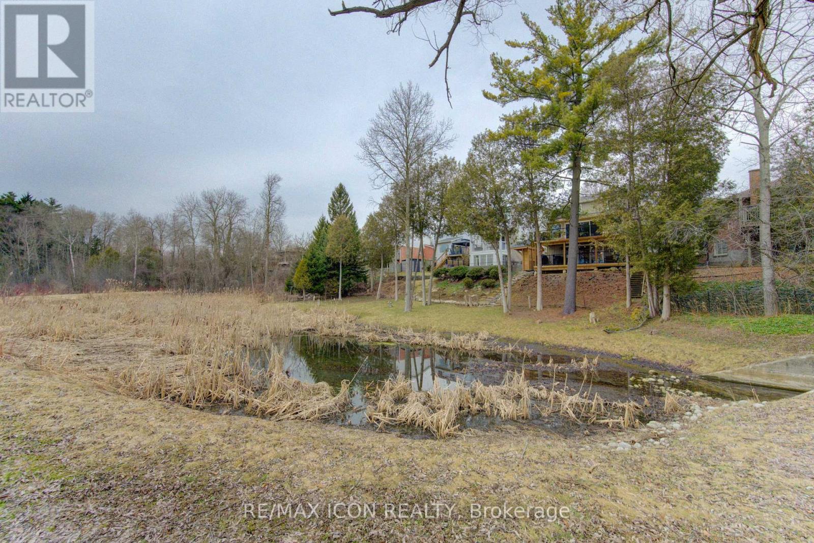 113 Anvil Street, Kitchener, Ontario  N2P 1Y1 - Photo 44 - X12929496