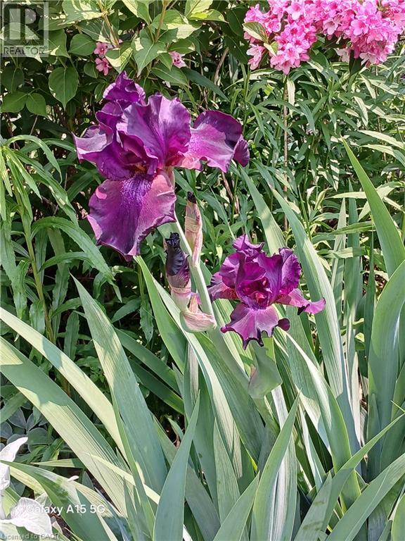 2427 Headon Forest Drive, Burlington, Ontario  L7M 3K7 - Photo 46 - 40799604