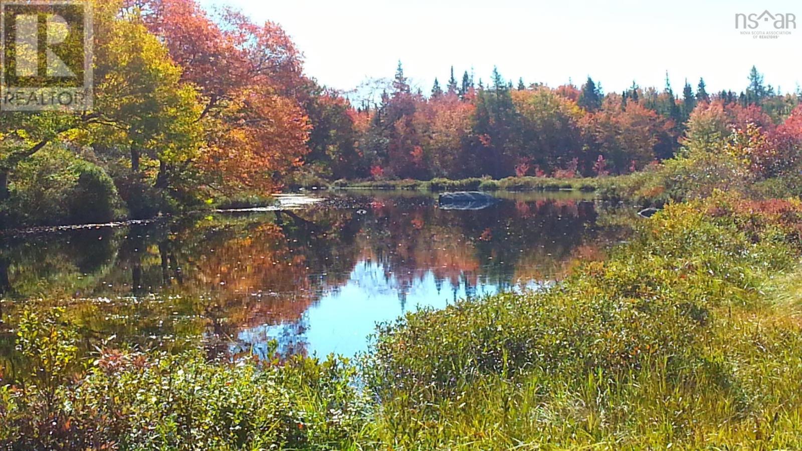 Lot Napier River, East Kemptville, Nova Scotia  B5A 5P5 - Photo 8 - 202605682