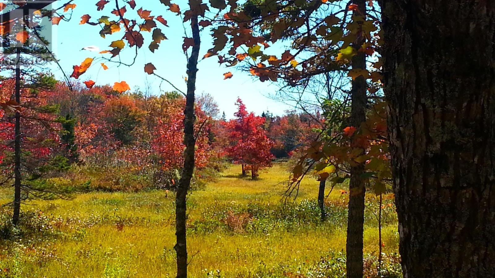 Lot Napier River, East Kemptville, Nova Scotia  B5A 5P5 - Photo 7 - 202605682
